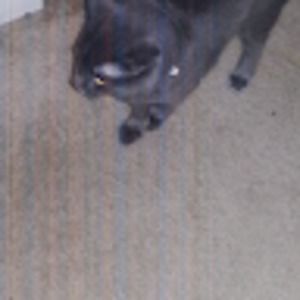 Meet your Posher, Elijah